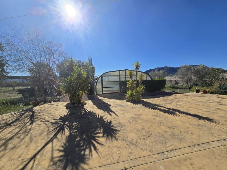 Villa for Sale in Sax, Alicante 12