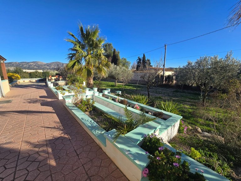 Villa for Sale in Sax, Alicante 26