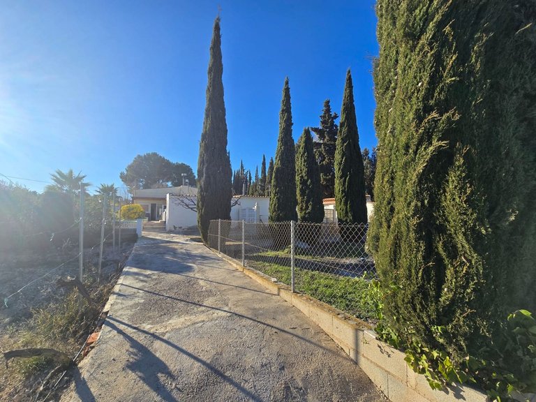 Villa for Sale in Sax, Alicante 31
