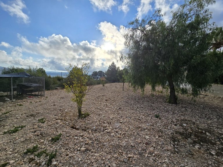 Villa for Sale in Sax, Alicante 25