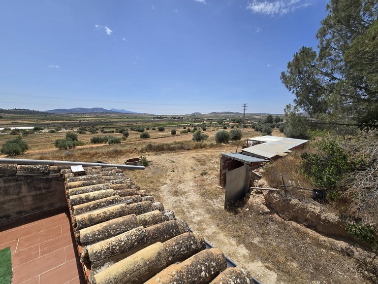 Country House for Sale in Pinoso, Alicante 4