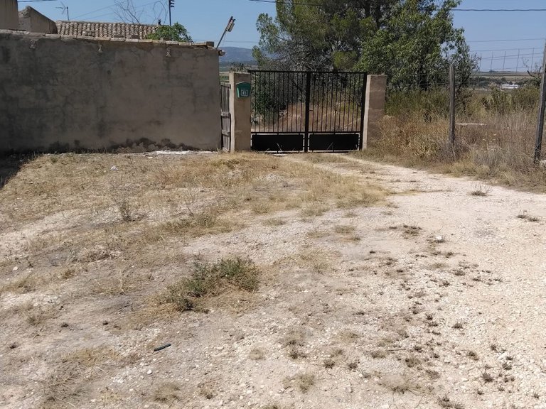 Country House for Sale in Pinoso, Alicante 3