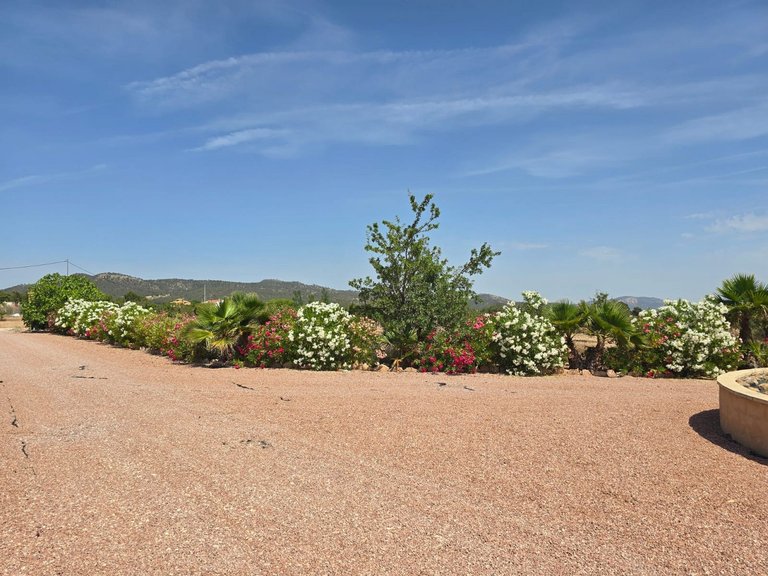 Villa for Sale in Monovar, Alicante 33