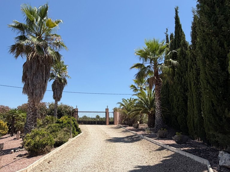 Villa for Sale in Salinas, Alicante 7