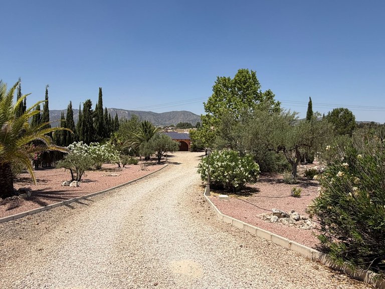 Villa for Sale in Salinas, Alicante 8