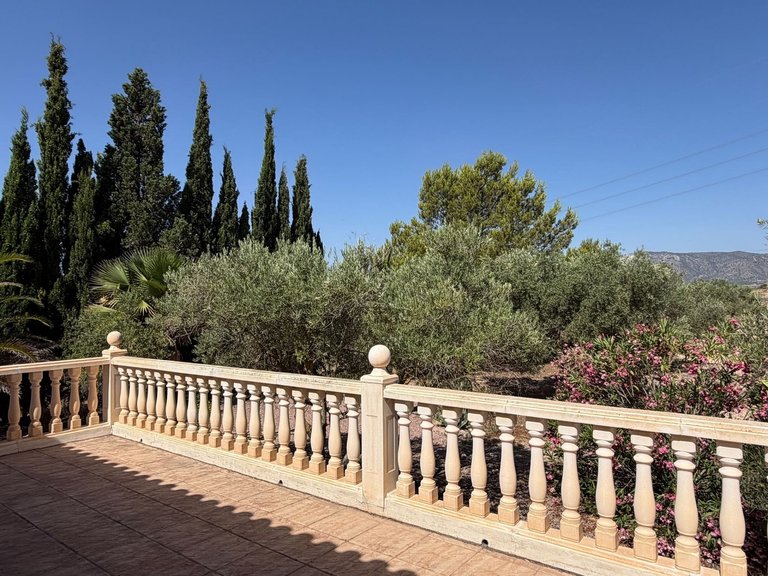 Villa for Sale in Salinas, Alicante 11