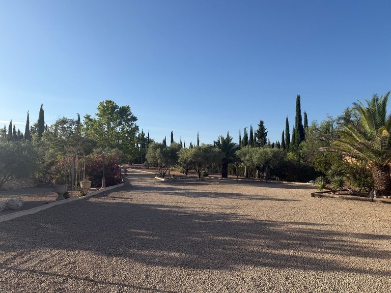 Villa for Sale in Salinas, Alicante 13