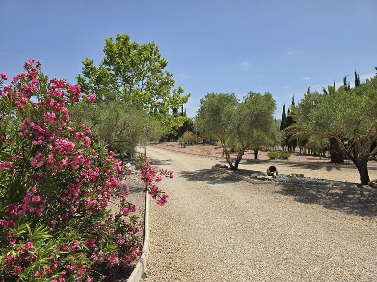 Villa for Sale in Salinas, Alicante 19