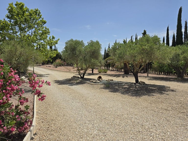 Villa for Sale in Salinas, Alicante 24