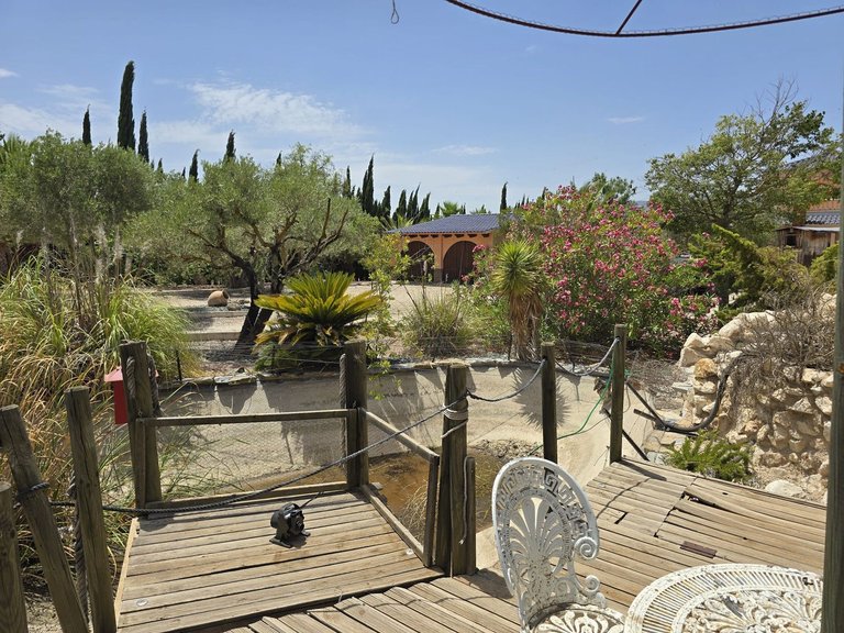 Villa for Sale in Salinas, Alicante 22