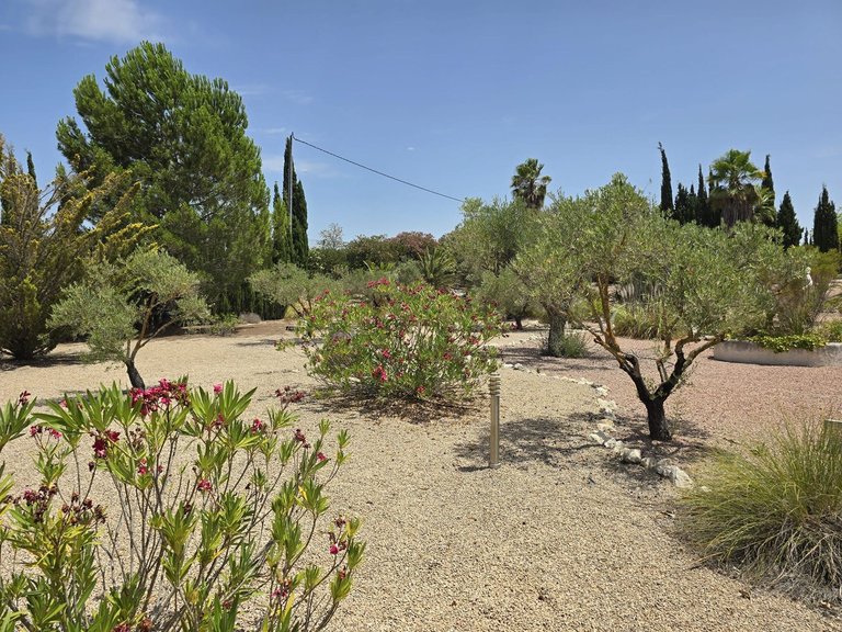 Villa for Sale in Salinas, Alicante 21