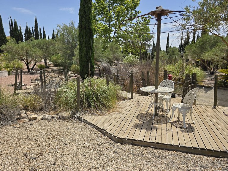 Villa for Sale in Salinas, Alicante 23