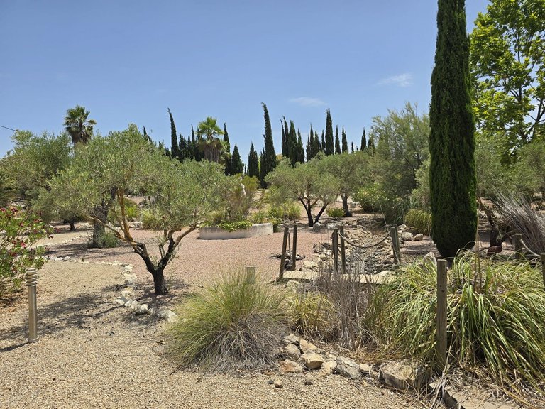 Villa for Sale in Salinas, Alicante 34