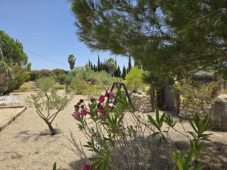 Villa for Sale in Salinas, Alicante 28