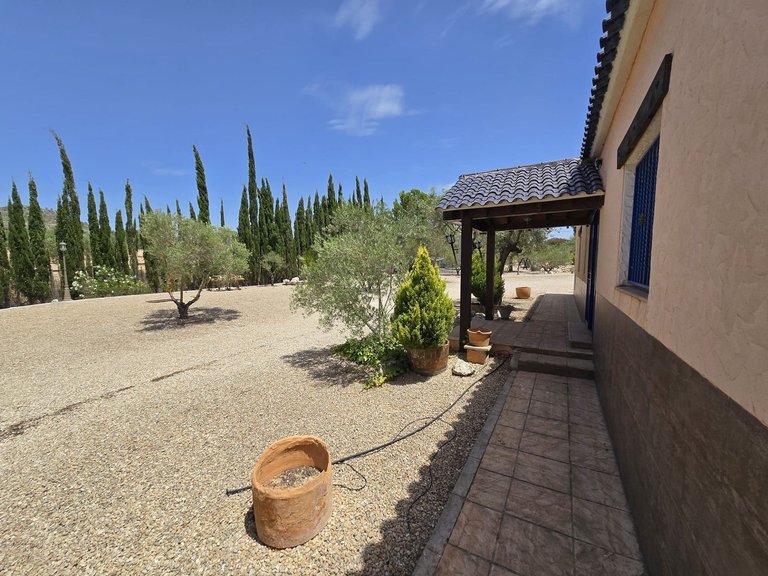 Villa for Sale in Salinas, Alicante 42