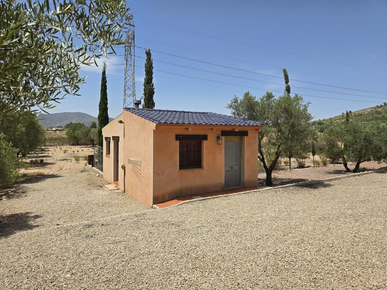 Villa for Sale in Salinas, Alicante 29