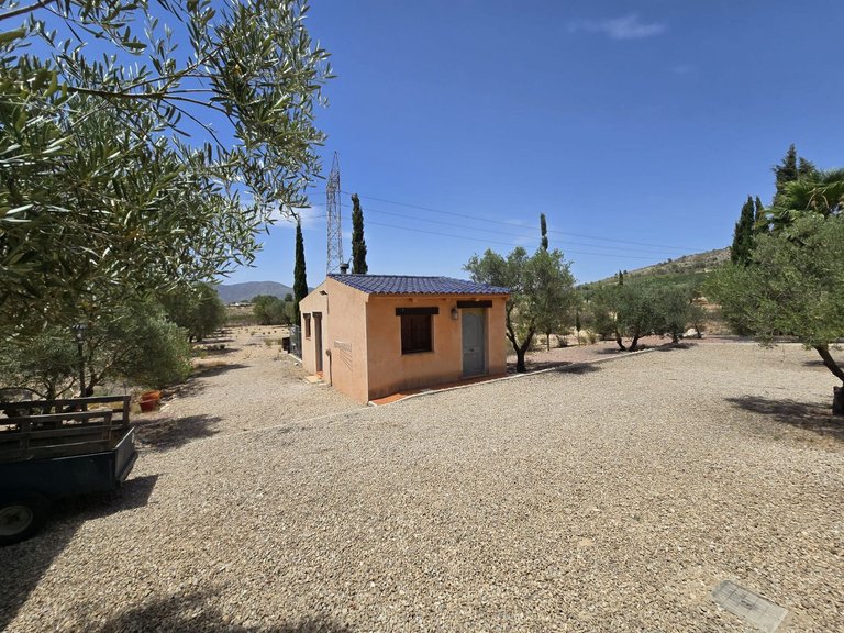 Villa for Sale in Salinas, Alicante 30