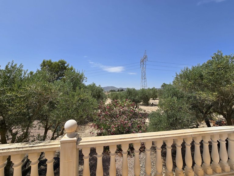 Villa for Sale in Salinas, Alicante 31