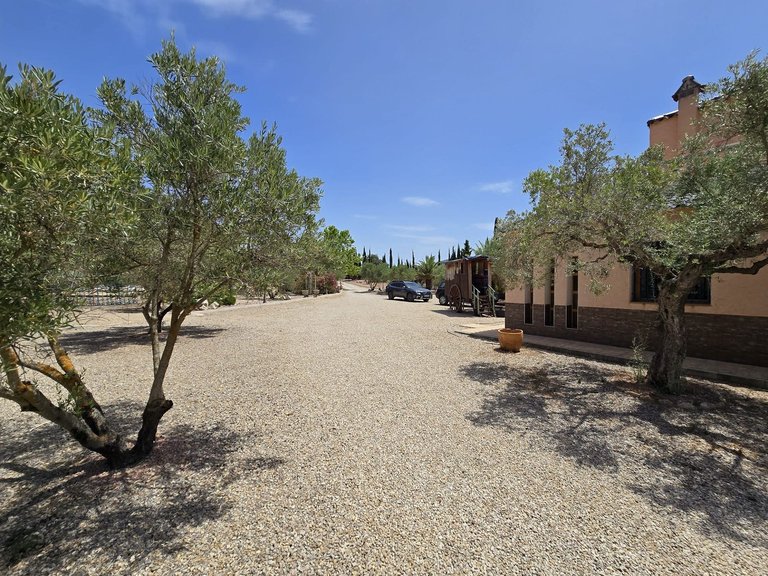 Villa for Sale in Salinas, Alicante 40