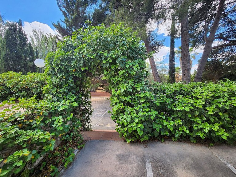 Villa for Sale in Sax, Alicante 16