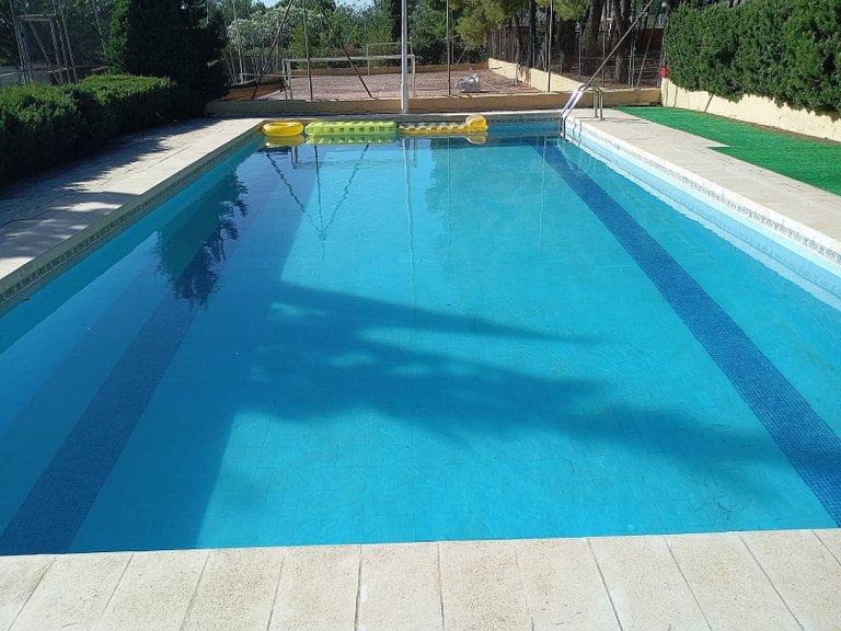 Villa for Sale in Sax, Alicante 4