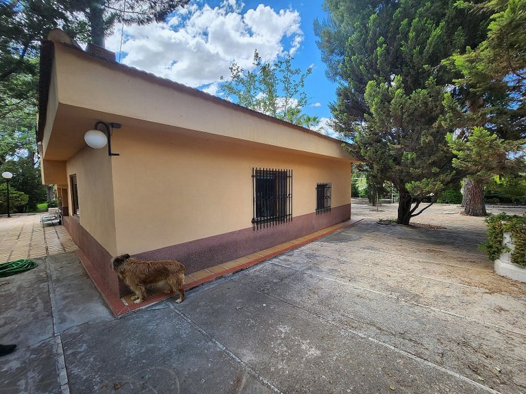 Villa for Sale in Sax, Alicante 7
