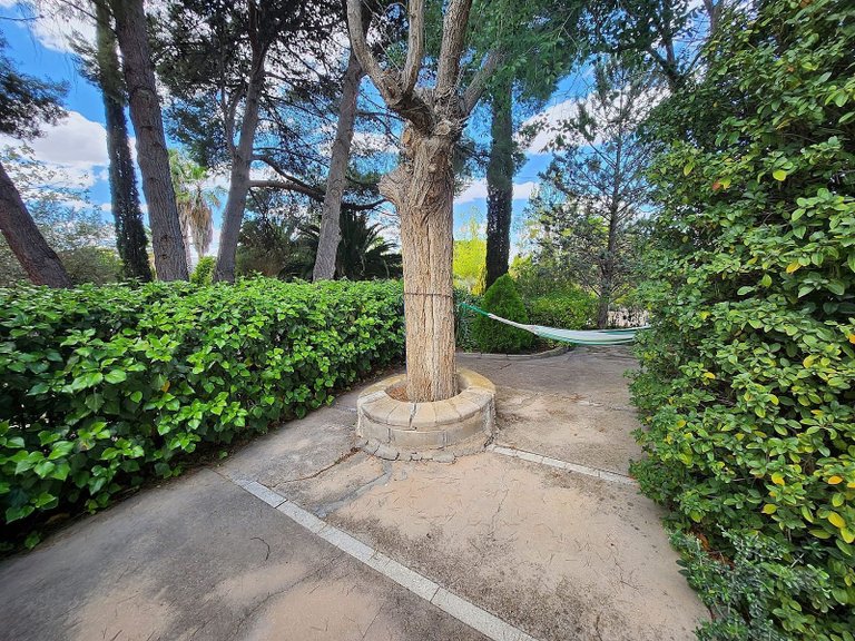 Villa for Sale in Sax, Alicante 15