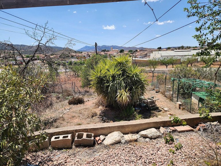 Country House for Sale in Algueña, Alicante 8