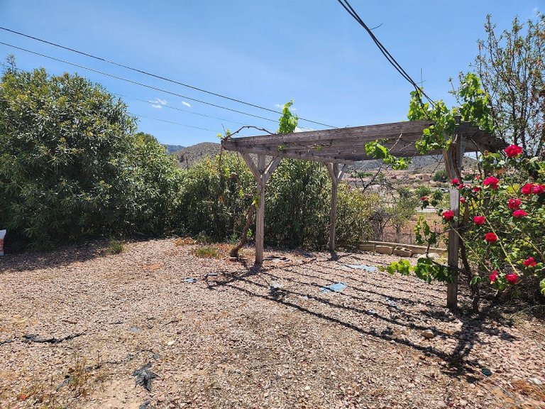 Country House for Sale in Algueña, Alicante 7