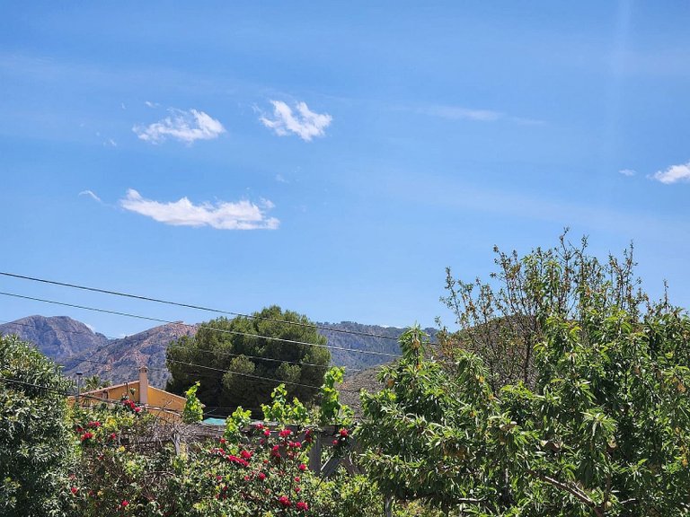 Country House for Sale in Algueña, Alicante 6