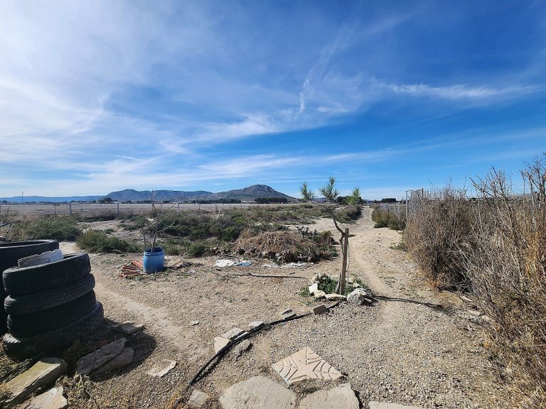 Villa for Sale in Villena, Alicante 16