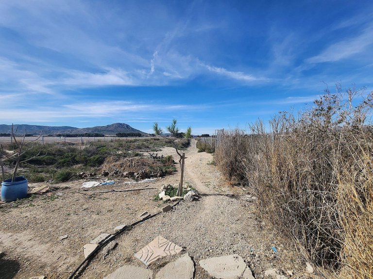 Villa for Sale in Villena, Alicante 21