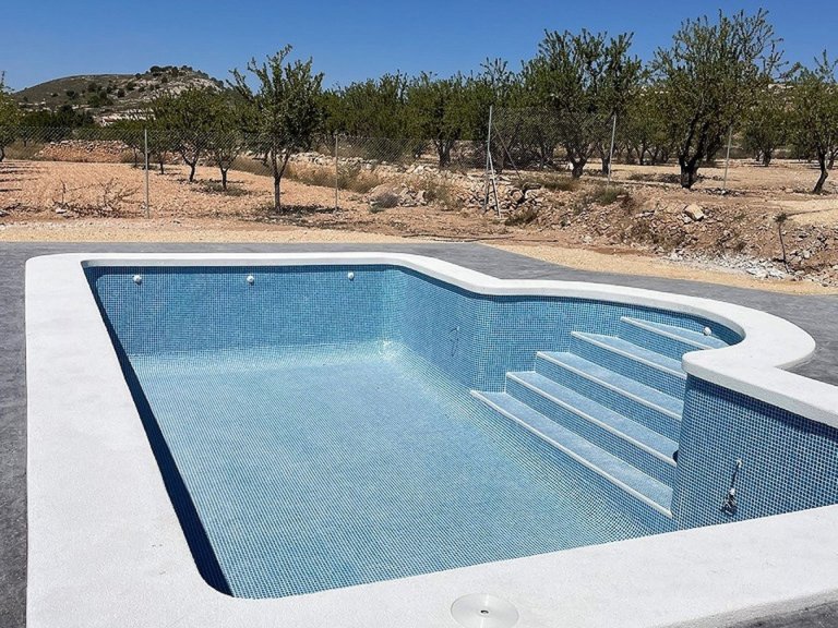 Villa for Sale in Pinoso, Alicante 28