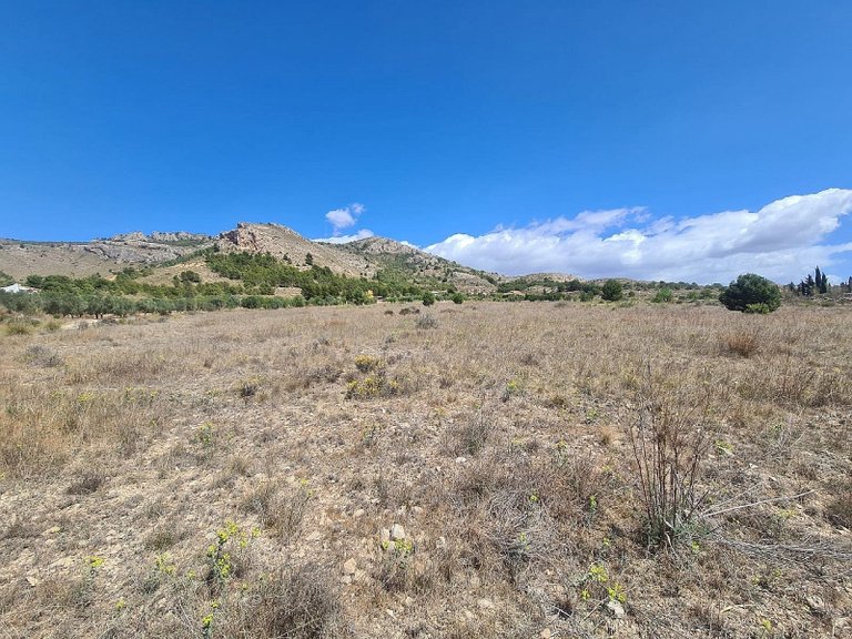 Plot for Sale in Sax, Alicante 4