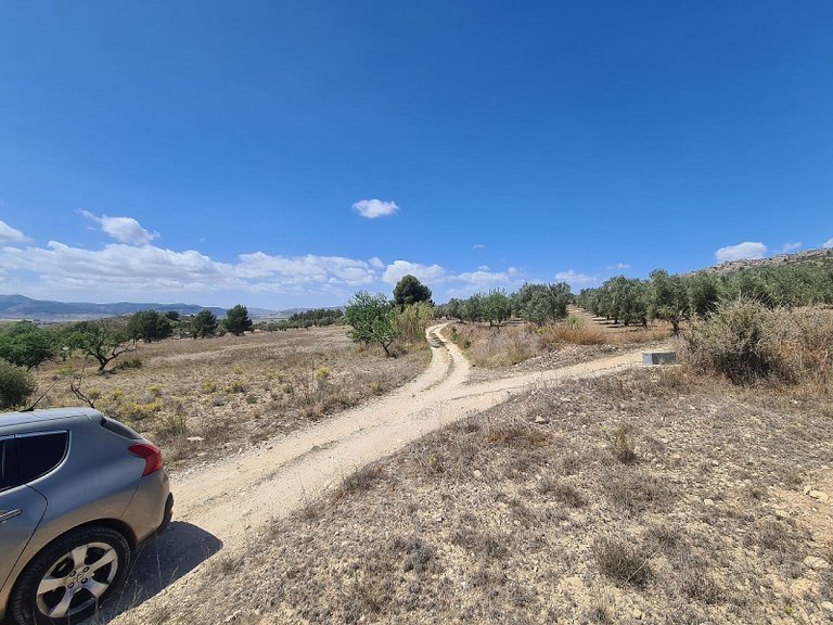 Plot for Sale in Sax, Alicante 6