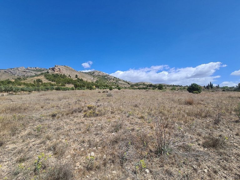 Plot for Sale in Sax, Alicante 5