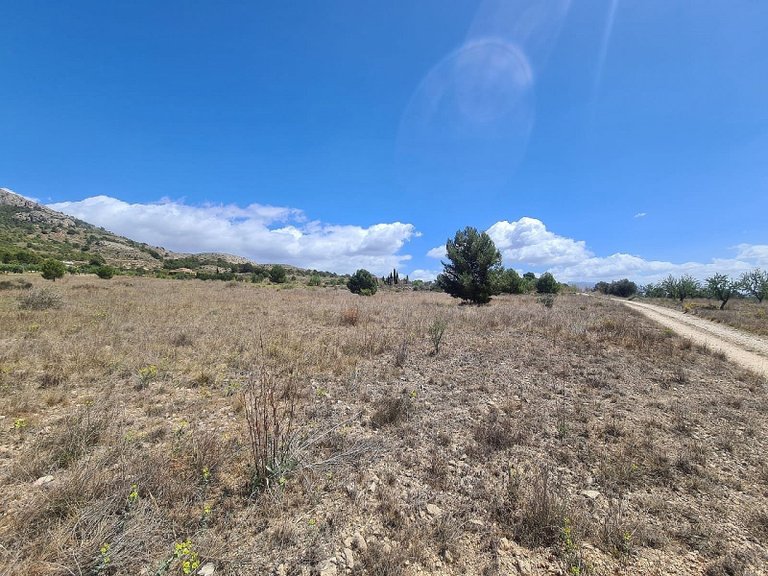 Plot for Sale in Sax, Alicante 3