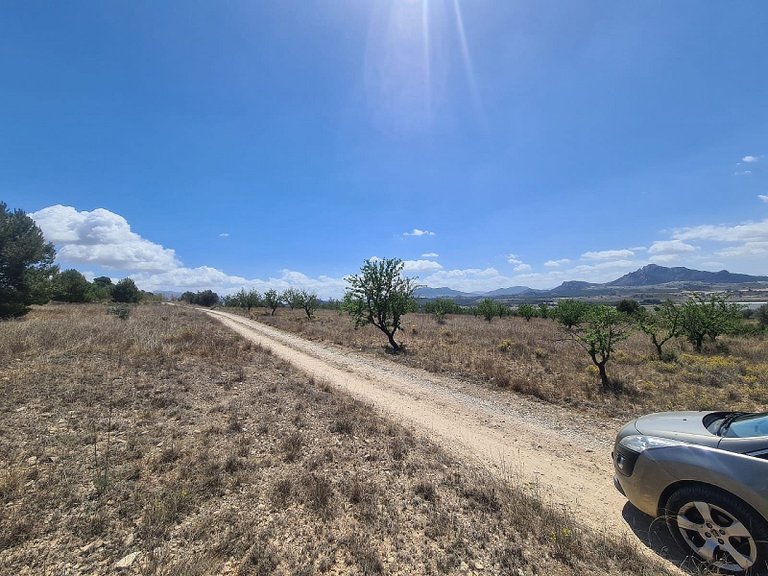 Plot for Sale in Sax, Alicante 2