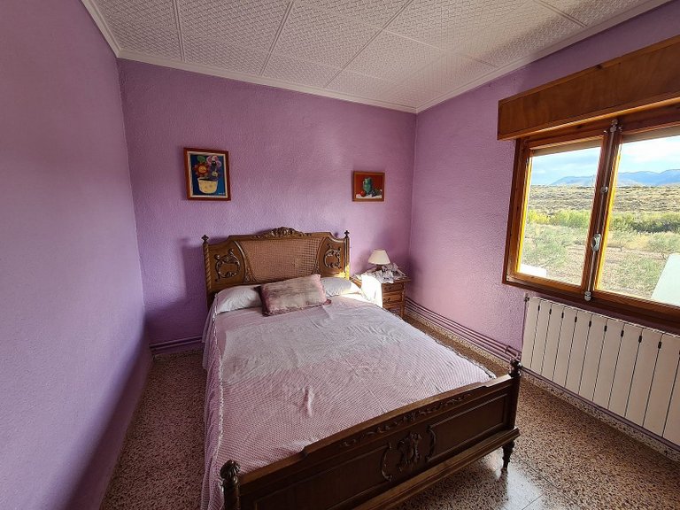 Country House for Sale in Sax, Alicante 24
