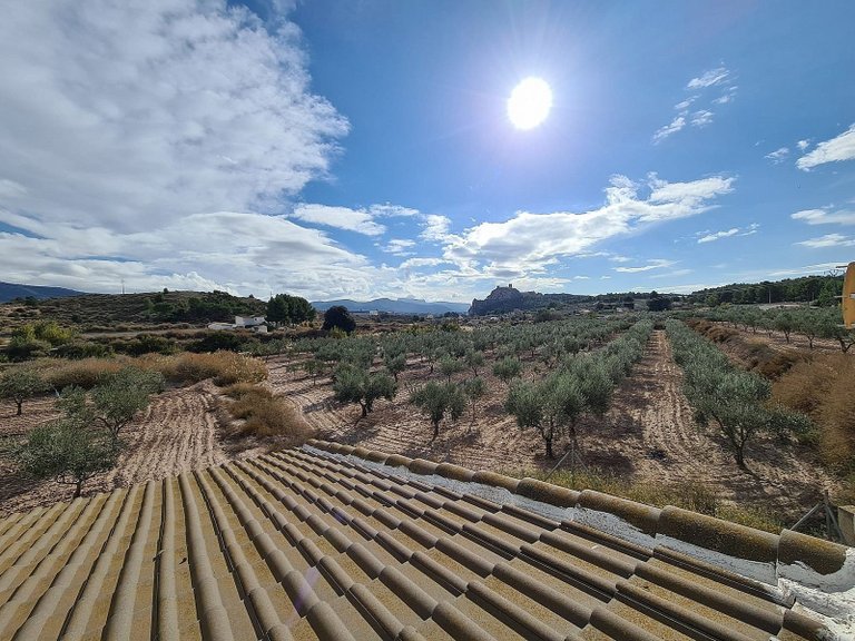Country House for Sale in Sax, Alicante 32