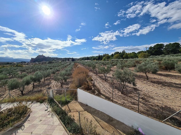 Country House for Sale in Sax, Alicante 33