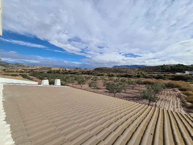Country House for Sale in Sax, Alicante 31
