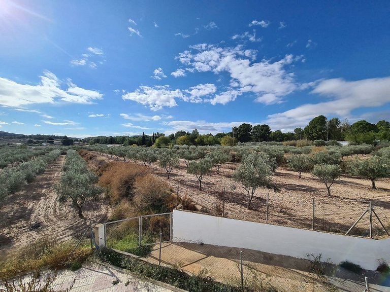 Country House for Sale in Sax, Alicante 34