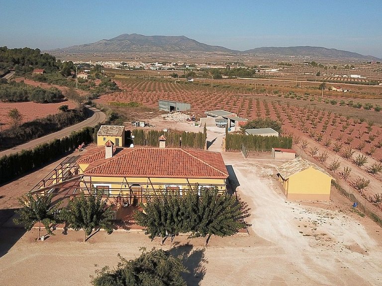 Villa for Sale in Pinoso, Alicante 9