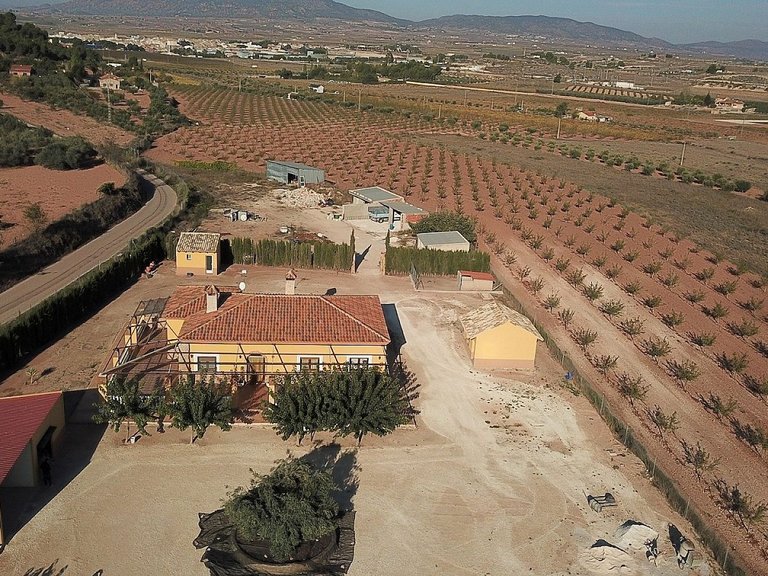 Villa for Sale in Pinoso, Alicante 2