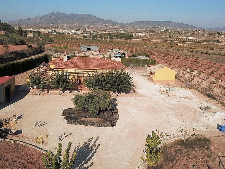 Villa for Sale in Pinoso, Alicante 3