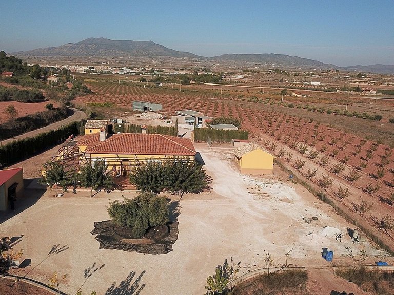 Villa for Sale in Pinoso, Alicante 4