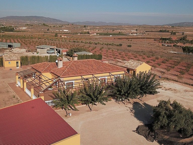 Villa for Sale in Pinoso, Alicante 10