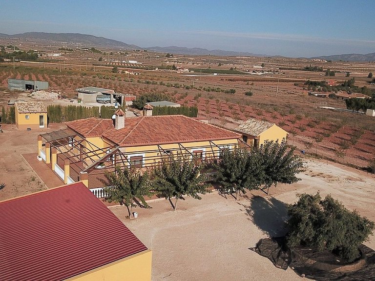 Villa for Sale in Pinoso, Alicante 1
