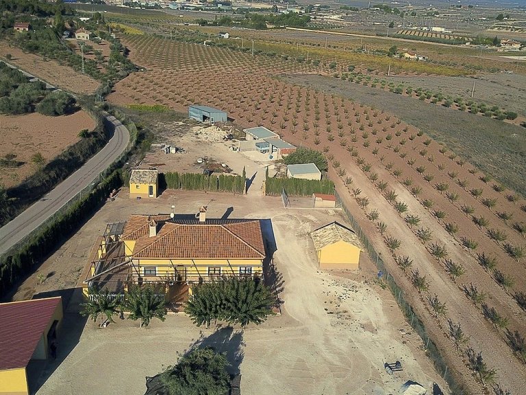 Villa for Sale in Pinoso, Alicante 7